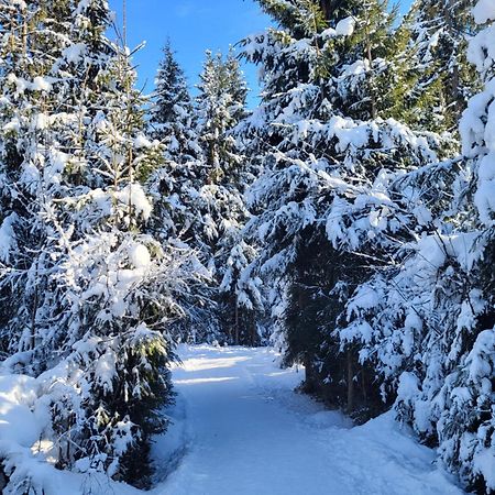 Pension Laerchenbrunn Westendorf Zewnętrze zdjęcie