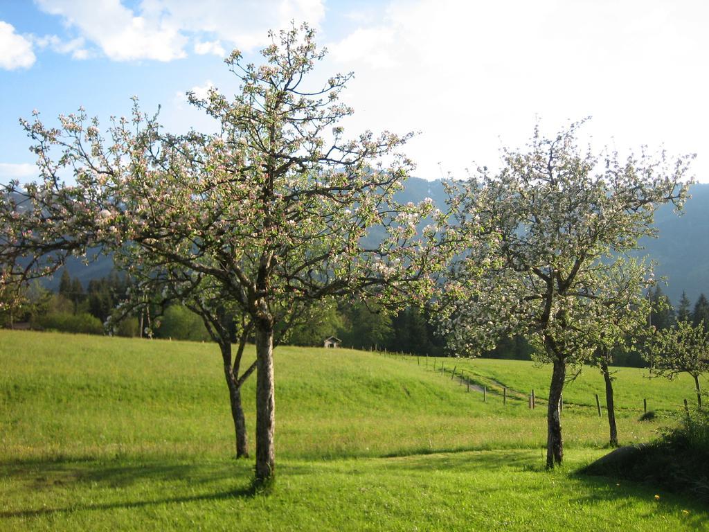 Pension Laerchenbrunn Westendorf Pokój zdjęcie