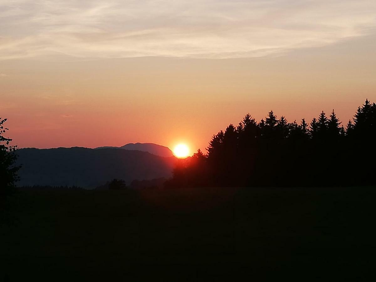 Pension Laerchenbrunn Westendorf Zewnętrze zdjęcie