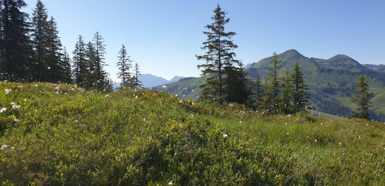 Pension Laerchenbrunn Westendorf Zewnętrze zdjęcie